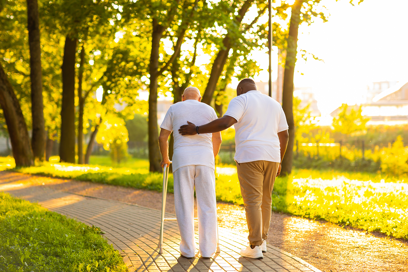 Companion Care at Home in St. Charles, IL
